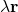 \lambda \mathbf{r}