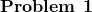 \noindent \textbf{Problem 1}