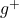 g^+