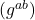 (g^{ab})