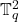 \mathbb{T}_q^2