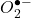 O_{2}^{\bullet-}