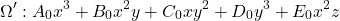 \[\Omega': A_0 x^3 + B_0 x^2 y + C_0 xy^2 + D_0 y^3 + E_0 x^2 z\]