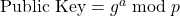 \text{Public Key} = g^a \bmod p