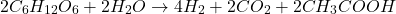 \[2C_6H_{12}O_6 + 2H_2O \rightarrow 4H_2 + 2CO_2 + 2CH_3COOH\]