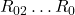 R_{02} \ldots R_{0}