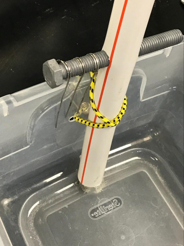 Arora & London, Figure 7: PVC pipe secured with bungee prior to completion of the washer/connector system.
?