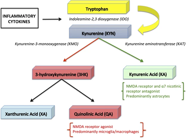 Gupta, Figure 2