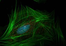 Why every high school researcher interested in biology should be reading Nature