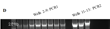 Srivastava, Figure 1b