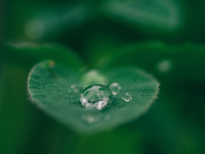 aaron-burden-dXYE1d08BiY-unsplash