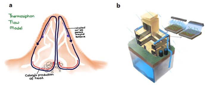 Fig1-1