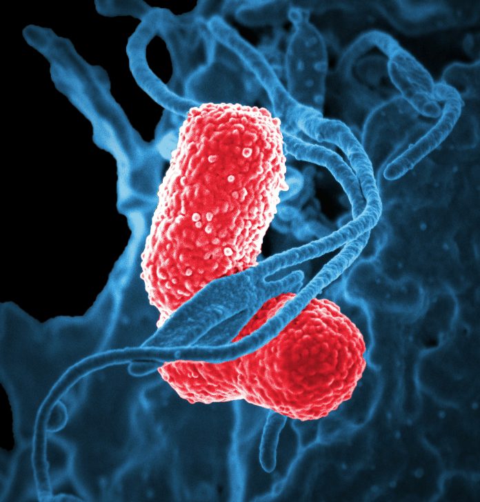 cdc-2-Hv-Rg4asA-unsplash