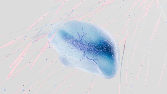 google-deepmind-Krw-2KP7bOE-unsplash