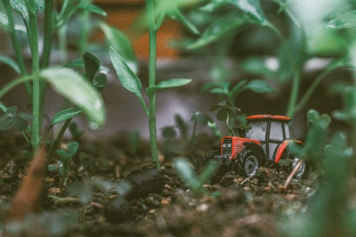 mert-aydemir-LR4Secoy6Mo-unsplash