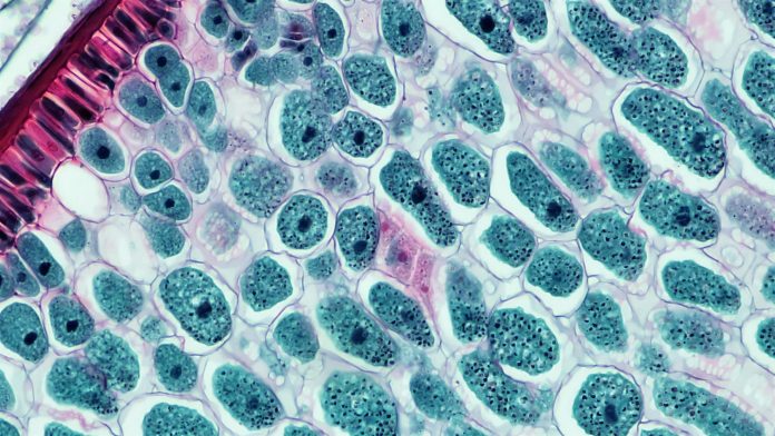 bioscience-image-library-by-fayette-reynolds-gs8Sy5sSATk-unsplash