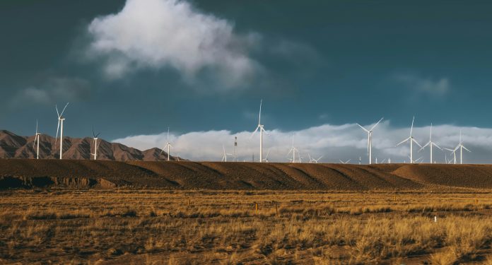 yang-dawei-5_hbY_H6KVM-unsplash